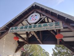 -上海海湾国家森林公园