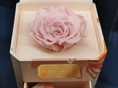 -BEAST野兽派(上海浦东嘉里城店)