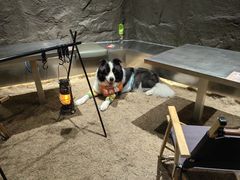 -J Create城市露营咖啡·简餐·宠物(上海动物园店)