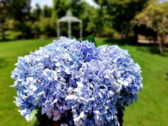 -杭州六谷生态休闲农庄有限公司