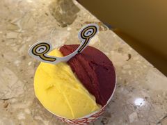 黑加仑茉莉-Dal Cuore 达可芮冰淇淋(陕西北路店)