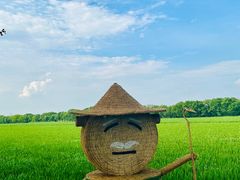 -嘉北郊野公园