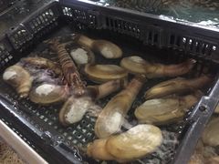 -江东鲈鱼馆(正江东)