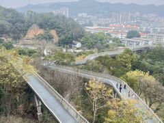 -福道