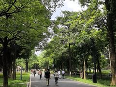 -海珠湖公园