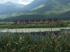 -腾冲北海湿地