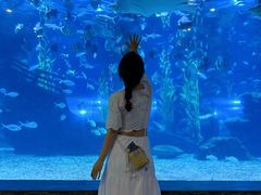 -南昌海洋公园
