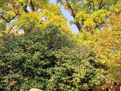 -青岛崂山太清宫