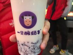 -一只酸奶牛(八一路店)