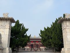 -洛阳古墓博物馆