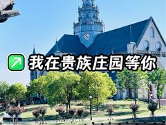 -荷兰花海