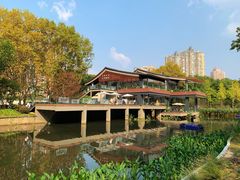 景点-和平公园