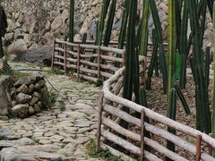 -MOJ coffee(瓯海泽雅水碓坑店)