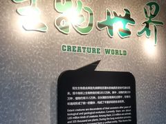 -烟台自然博物馆