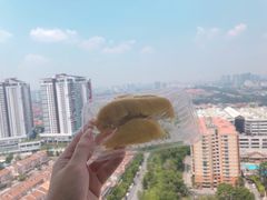 榴莲-都念榴莲·城市榴莲