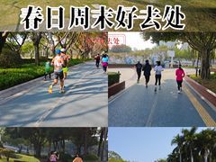 -白鹭洲公园