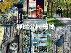-迎泽公园
