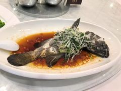 -大东海海鲜酒楼(渔人码头总店)