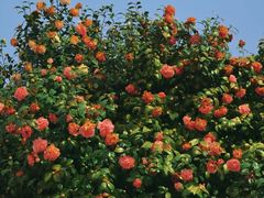 -长沙火车站(地铁站)