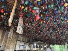-西双版纳原始森林公园