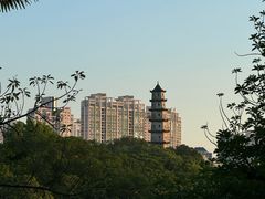 -江心屿景区