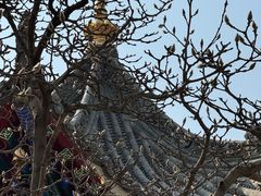 -西安市广仁寺