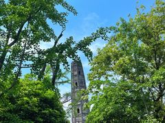 -上海佘山国家森林公园天马山园