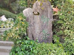 -十八棵（老龙井）御茶园(老龙井店)