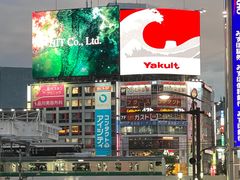 -涩谷区