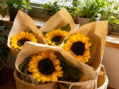 -花间阁鲜花气球连锁(两路口上清寺急市救中心店)