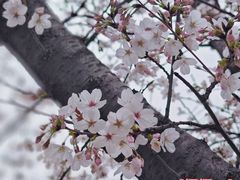 -龙美术馆(西岸馆)