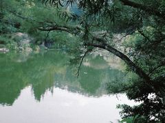 -深圳仙湖植物园
