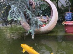 -漫笙舍Manse·咖啡·民宿