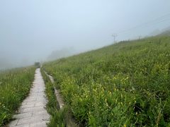 -灵山