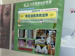 -北京观赏动物医院·24小时大型综合·猫专科·异宠专科