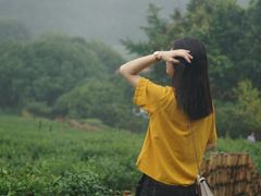 -中国茶叶博物馆(双峰馆区)