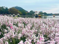 -顺峰山公园