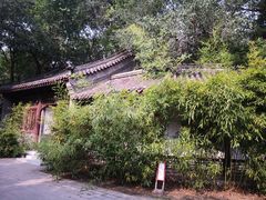 -元大都城垣遗址公园