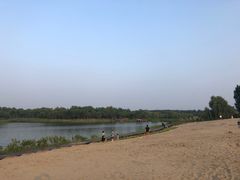 -东郊湿地公园