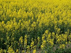 -苏州吴中太湖旅游区