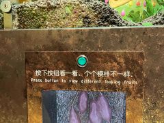 -佛山科学馆