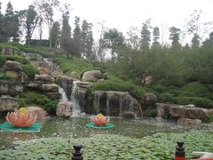 -秀丽东方