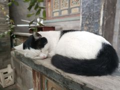 -大学习巷清真寺