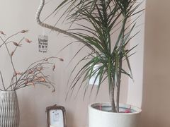 -李氏传家菜(沂水店)