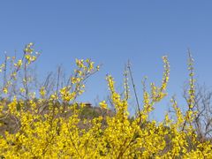-白水寺森林公园
