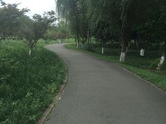 -白鹭湾湿地公园