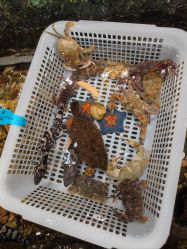 -钓虾工场·钓虾·赶海(回龙观店)