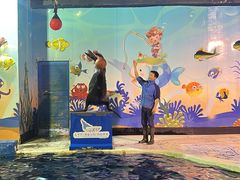 -太平洋海底世界