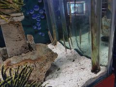 -太平洋海底世界