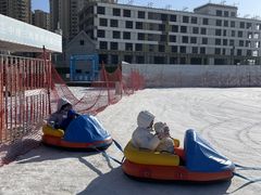 -丁香湖丁香小镇Citypark滑雪公园戏雪嘉年华